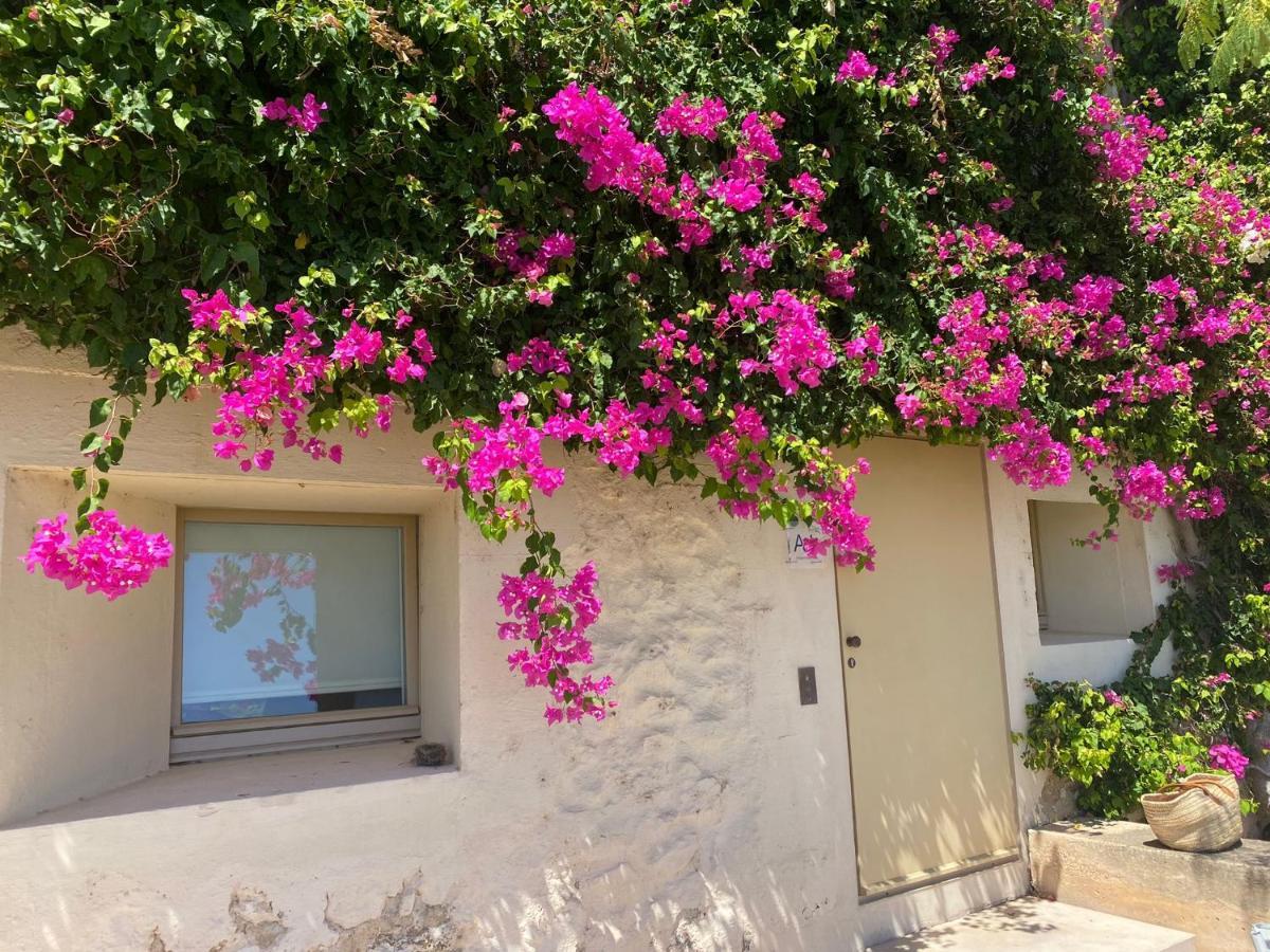 Nova Casa Com Piscina No Convento Das Bernardas Tavira Eksteriør bilde